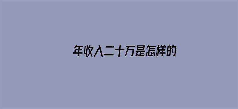 年收入二十万是怎样的水平